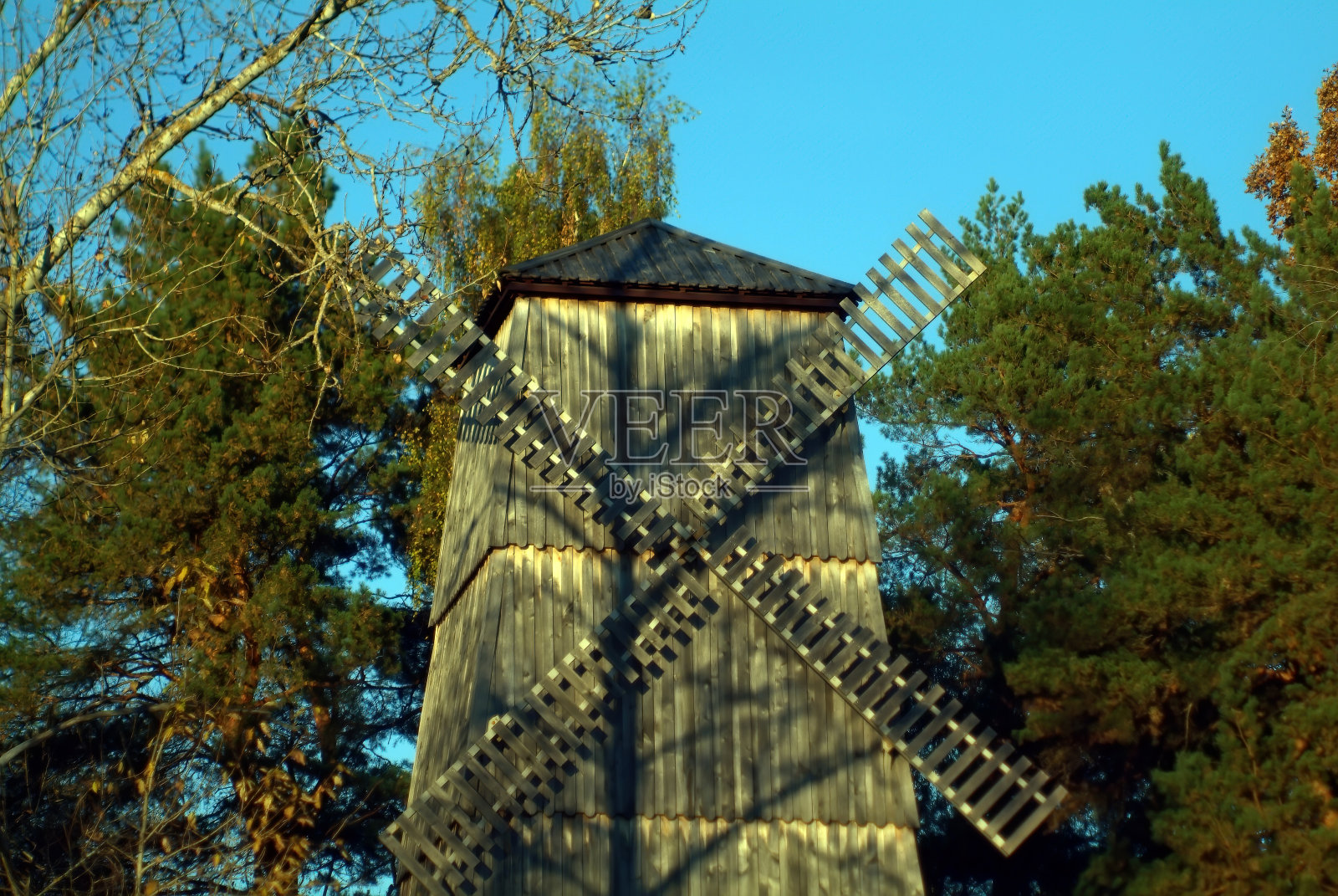 树林中的老风车照片摄影图片