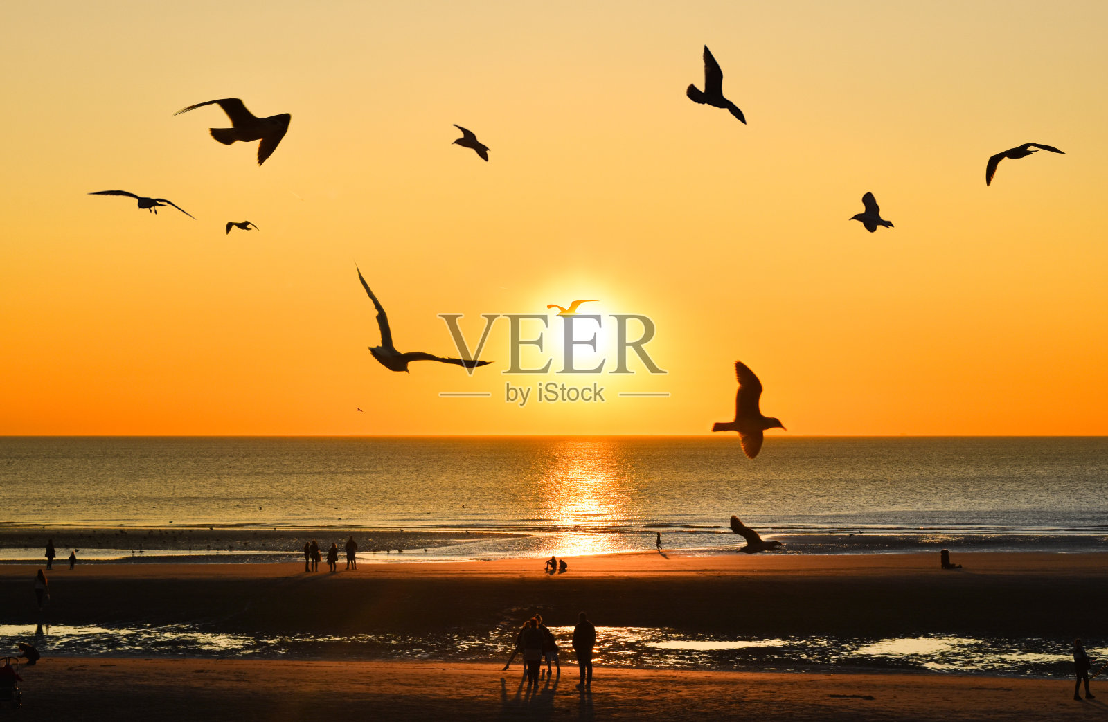 布莱克浦日落照片摄影图片