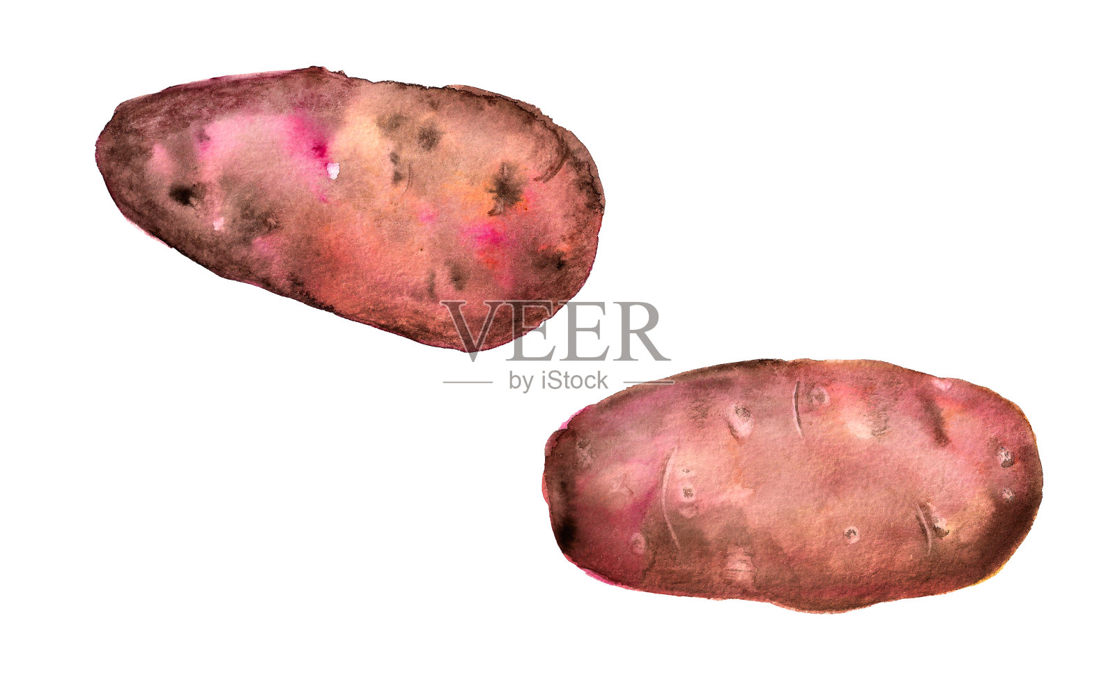水彩粉红色的土豆插画图片素材