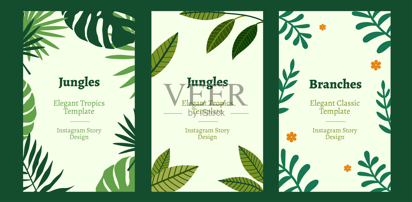 热带矢量模板。叶子的框架在白色背景。社交媒体故事的布局。插画图片素材