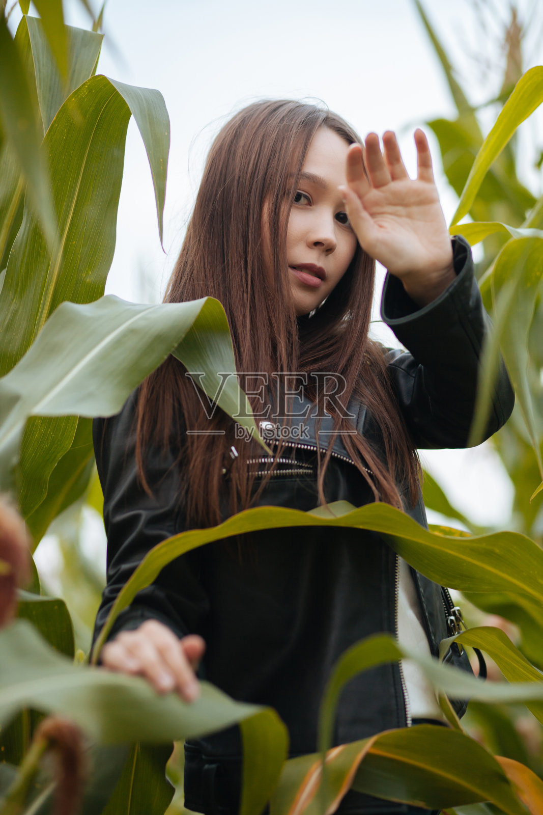 美丽的黑发,白色上衣,黑色皮夹克和牛仔裤在夏天的绿叶照片摄影图片