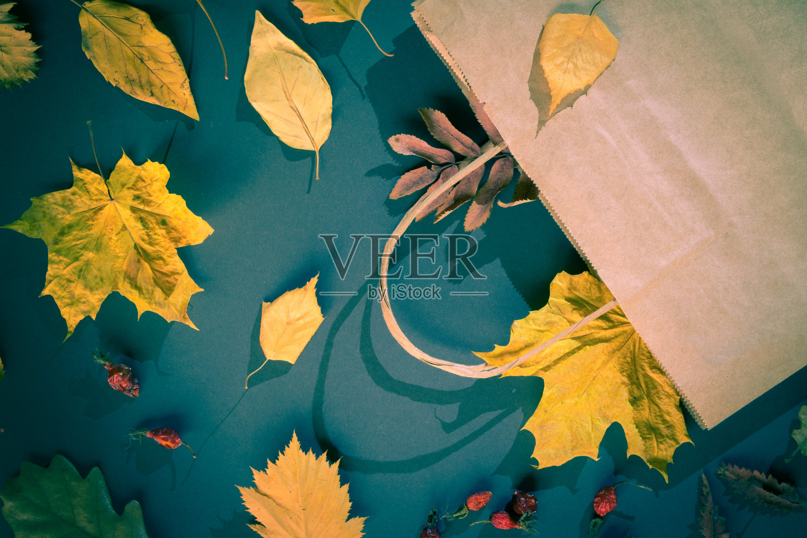 黑色的纸背景上的纸袋和秋叶照片摄影图片