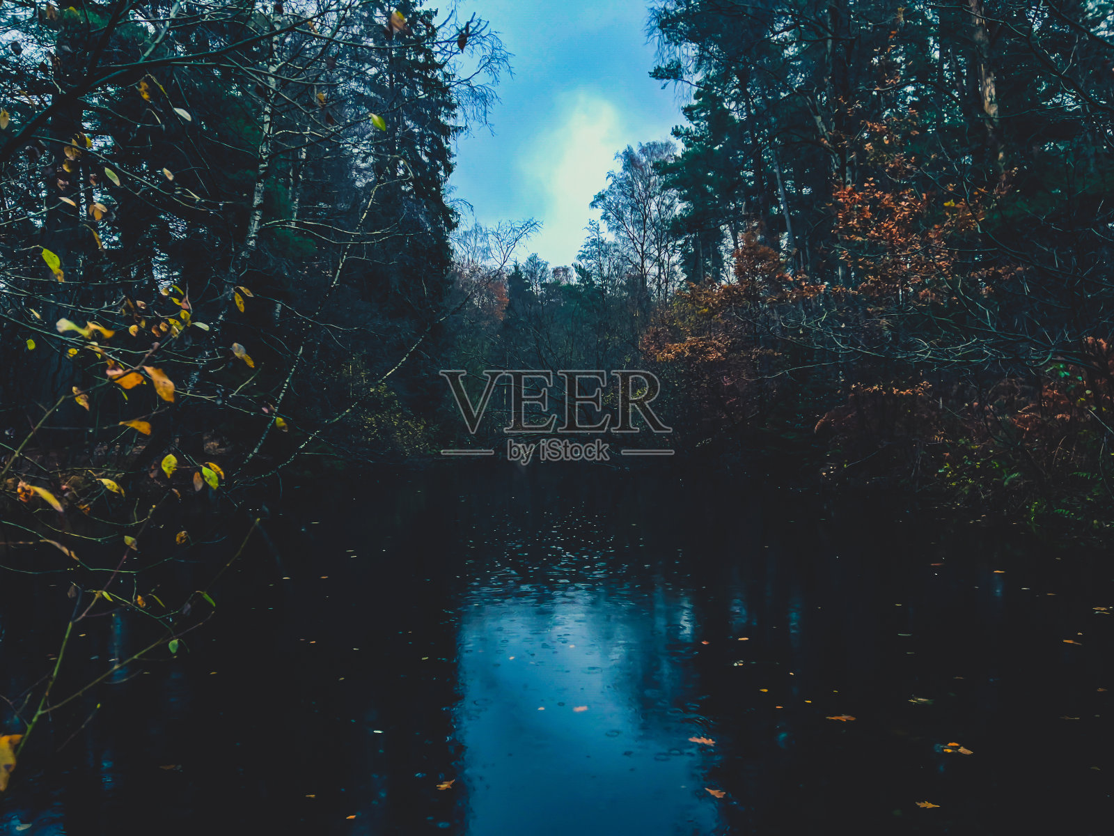 在冬天的夜晚,在潮湿的天气里,森林中央的一个小湖。照片摄影图片