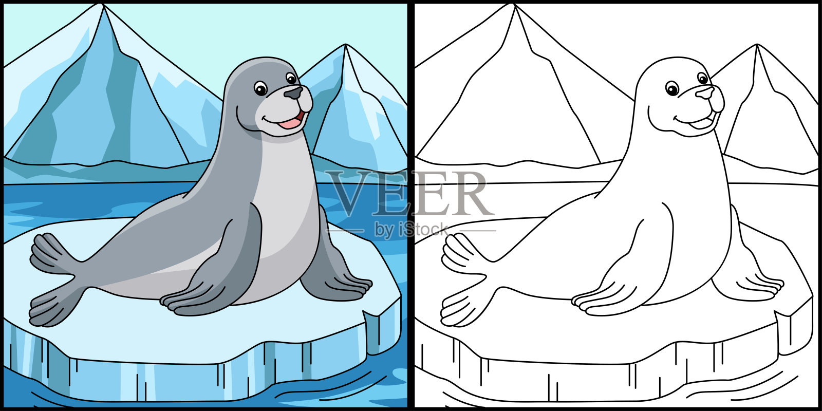 海豹着色页动物插图插画图片素材