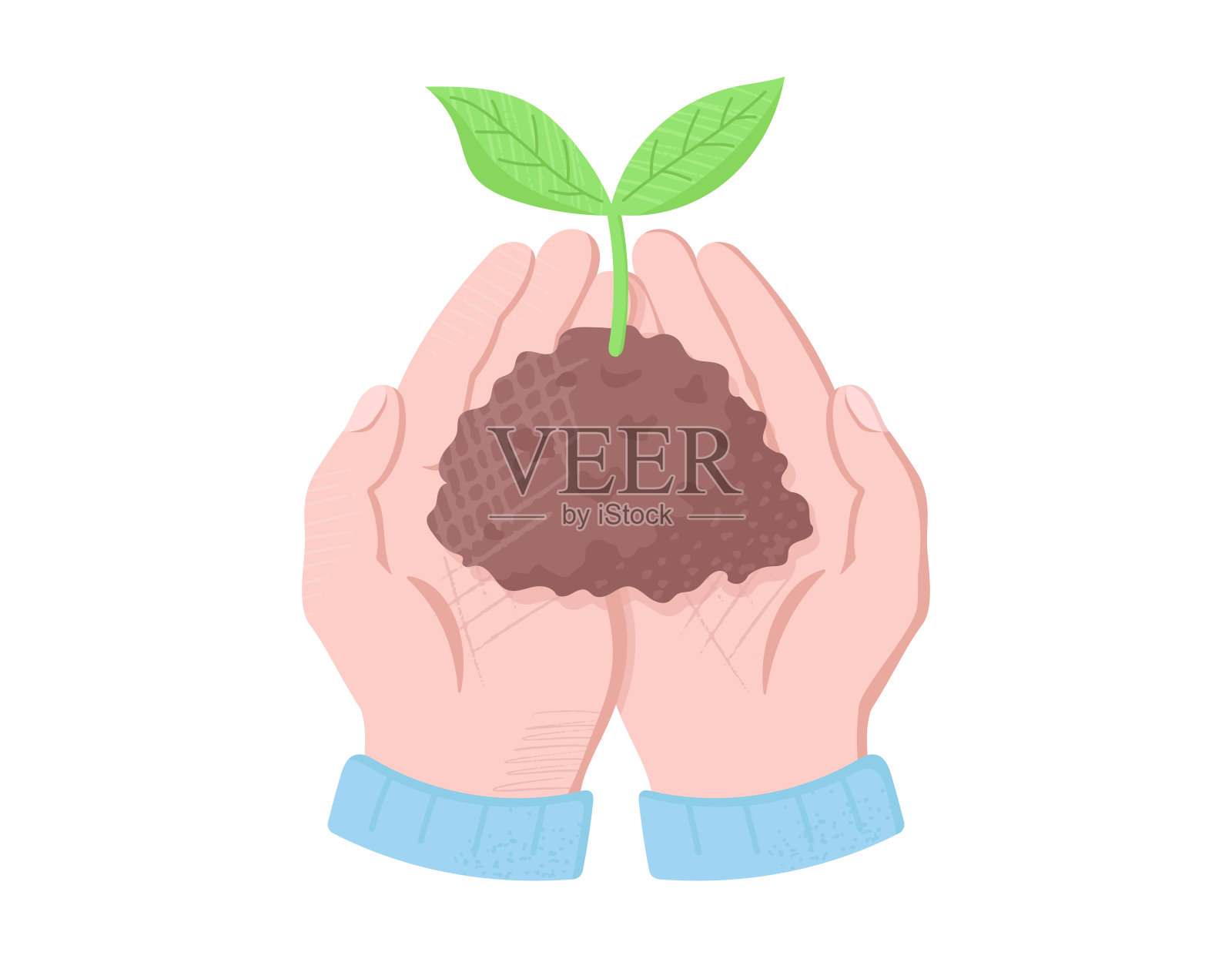 一个植物芽的插图,小心地用双手握住,矢量插图插画图片素材