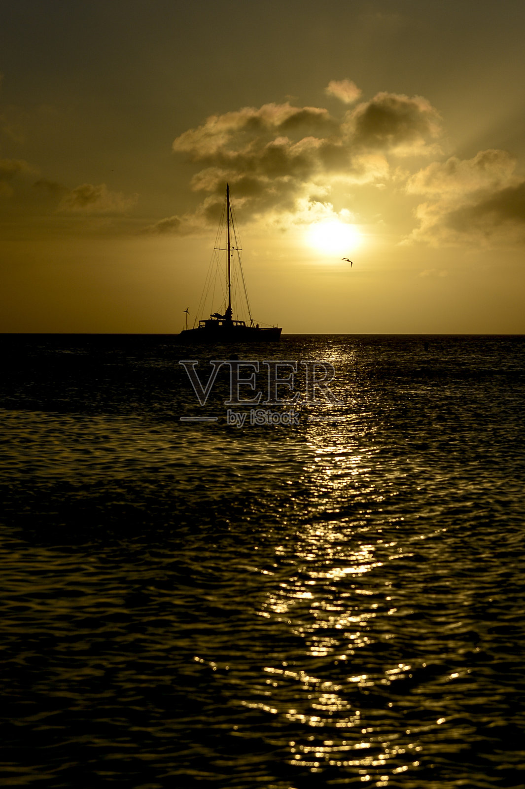 日落时,帆船在美丽的夏日海上航行。照片摄影图片