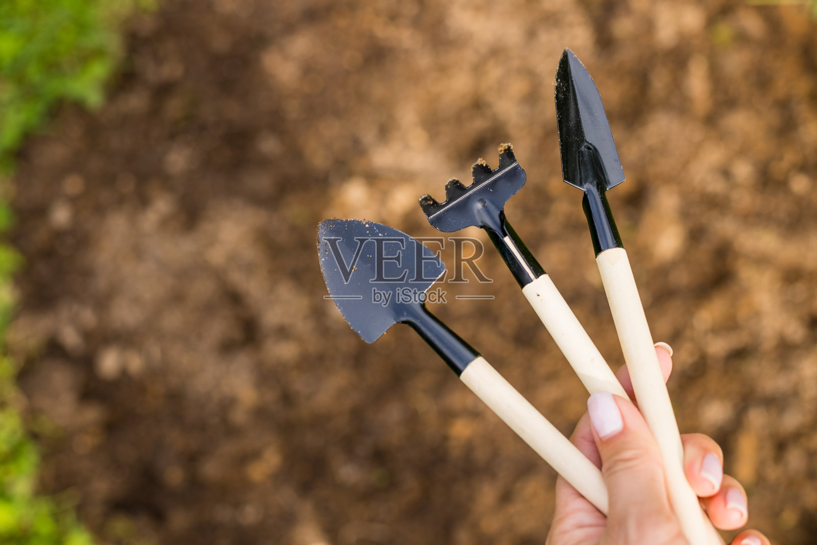 园艺的概念。春天照料幼苗,为移栽作准备。妇女手中的工具。复制空间,俯视图。农业工作。有选择性的重点。照片摄影图片