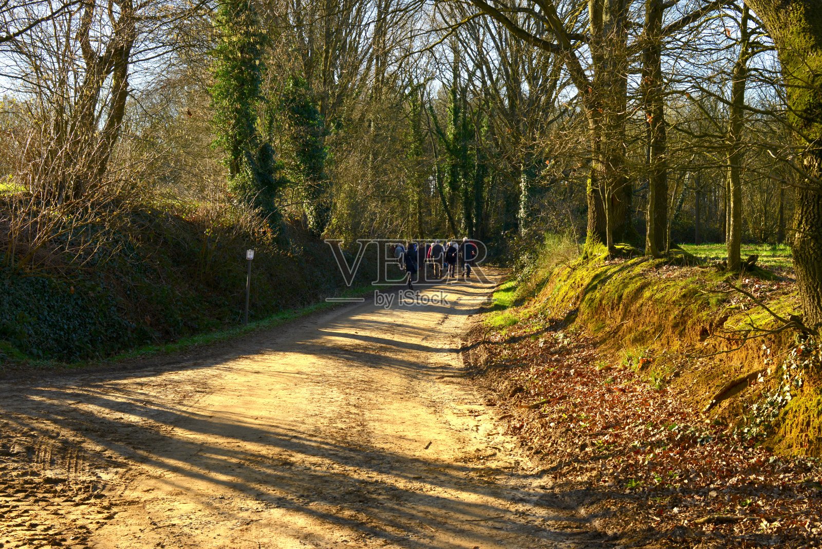 戴斯特沙芬地区的退休者在冬季散步照片摄影图片
