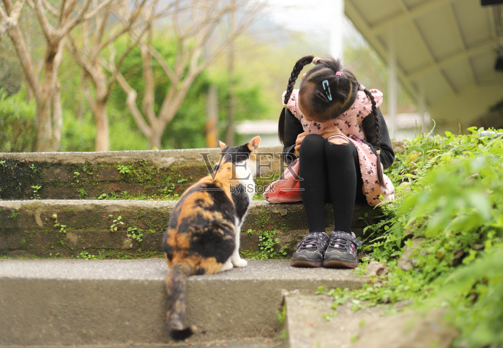 一个微笑的亚洲女孩在和一只猫玩耍。照片摄影图片
