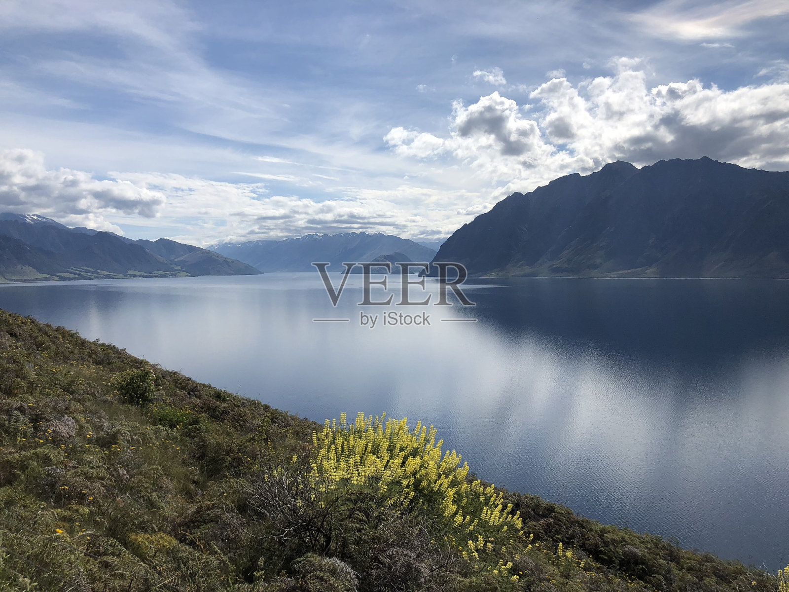 新西兰照片摄影图片