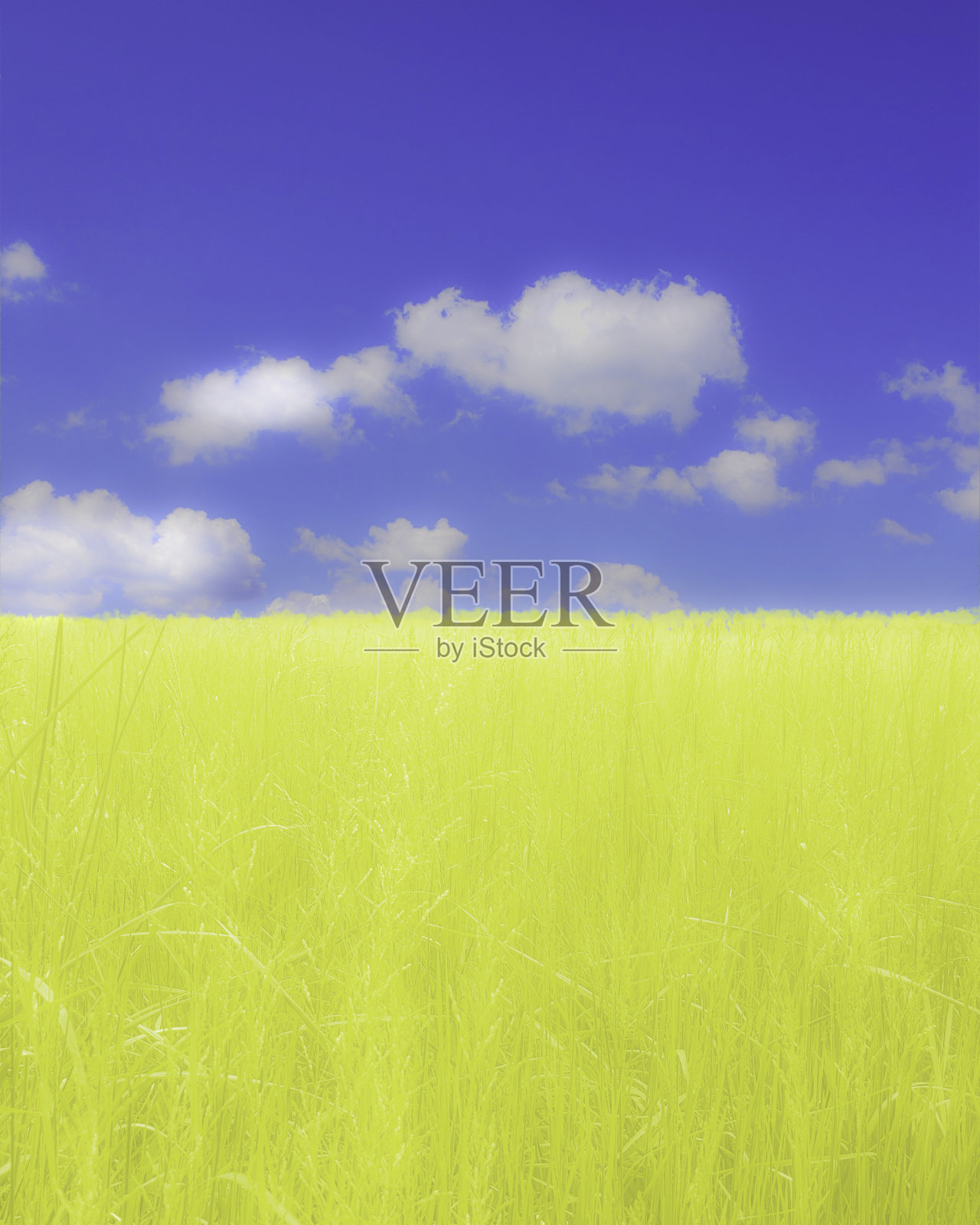 麦田,蓝天,云彩色调图像照片摄影图片