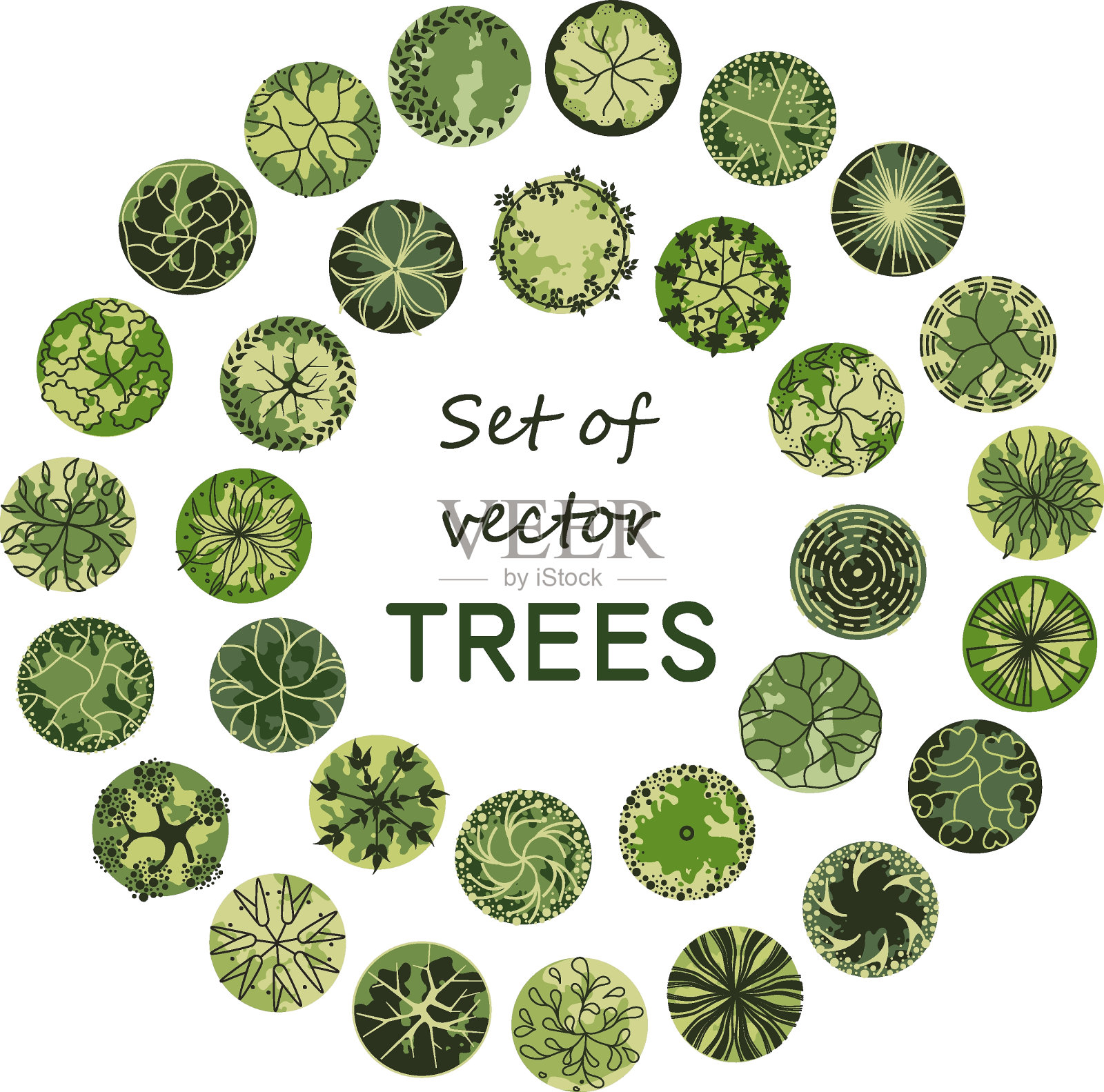 总体规划中的树木。各种乔木、灌木、灌木,为景观设计方案的俯视图。矢量插图。插画图片素材