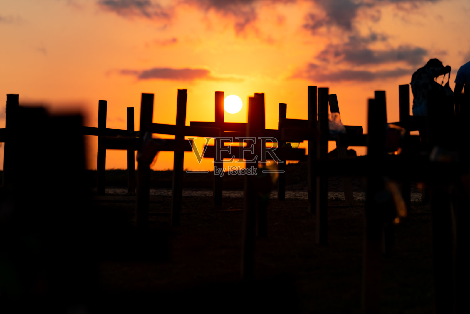 为纪念死于新冠肺炎的人们,人们将十字架固定在地上。照片摄影图片