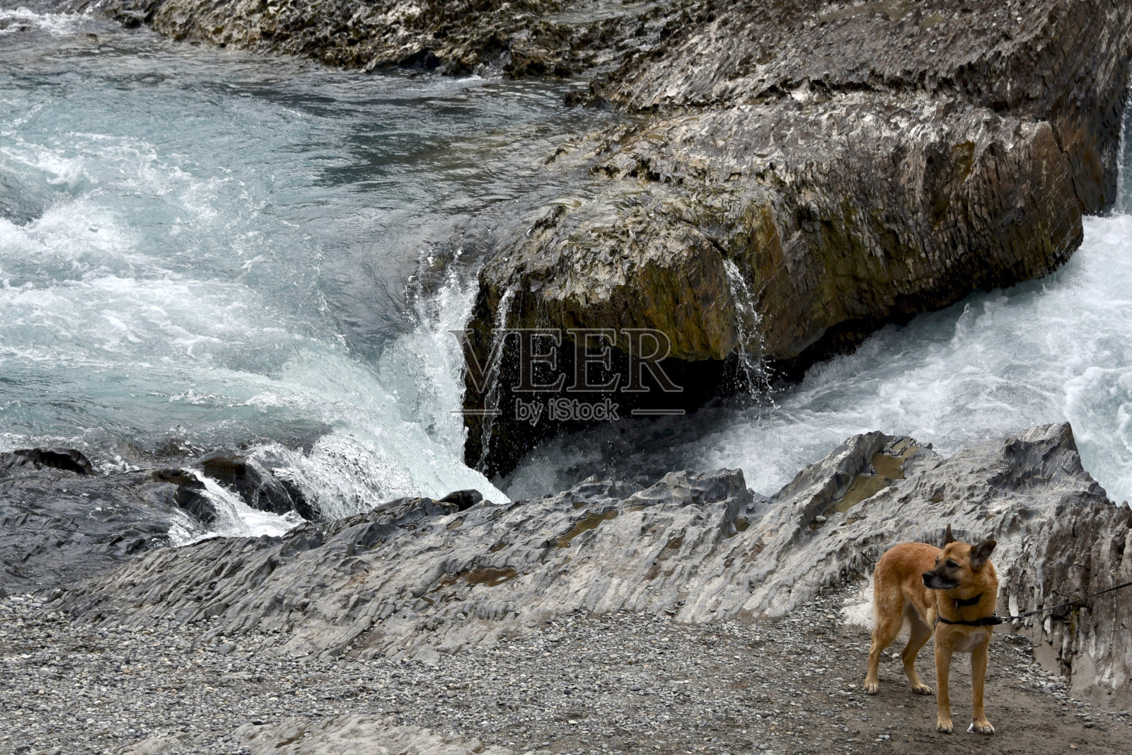 落在加拿大落基山脉照片摄影图片