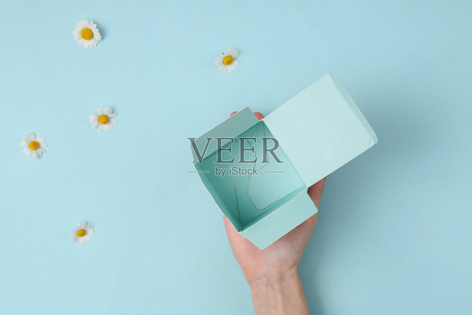 手拿着一个空盒子在蓝色的洋甘菊背景上照片摄影图片