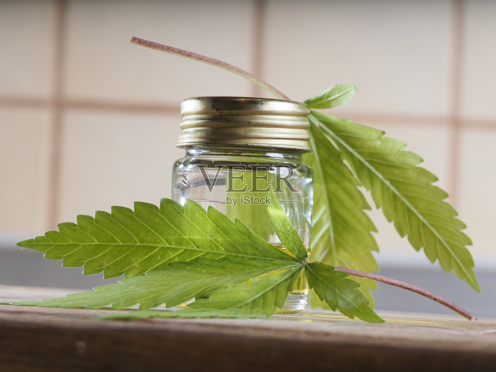 医用大麻大麻杂草cbd油照片摄影图片