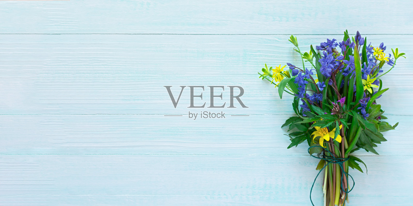 春天的花组成。照片摄影图片