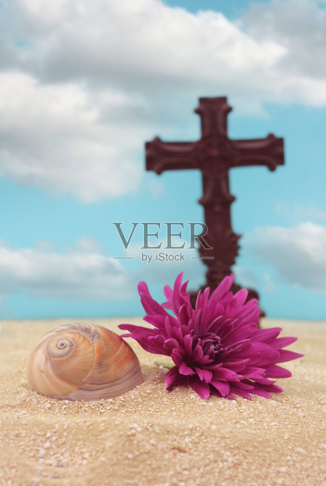 海贝壳与沙十字,浅景深聚焦于贝壳照片摄影图片