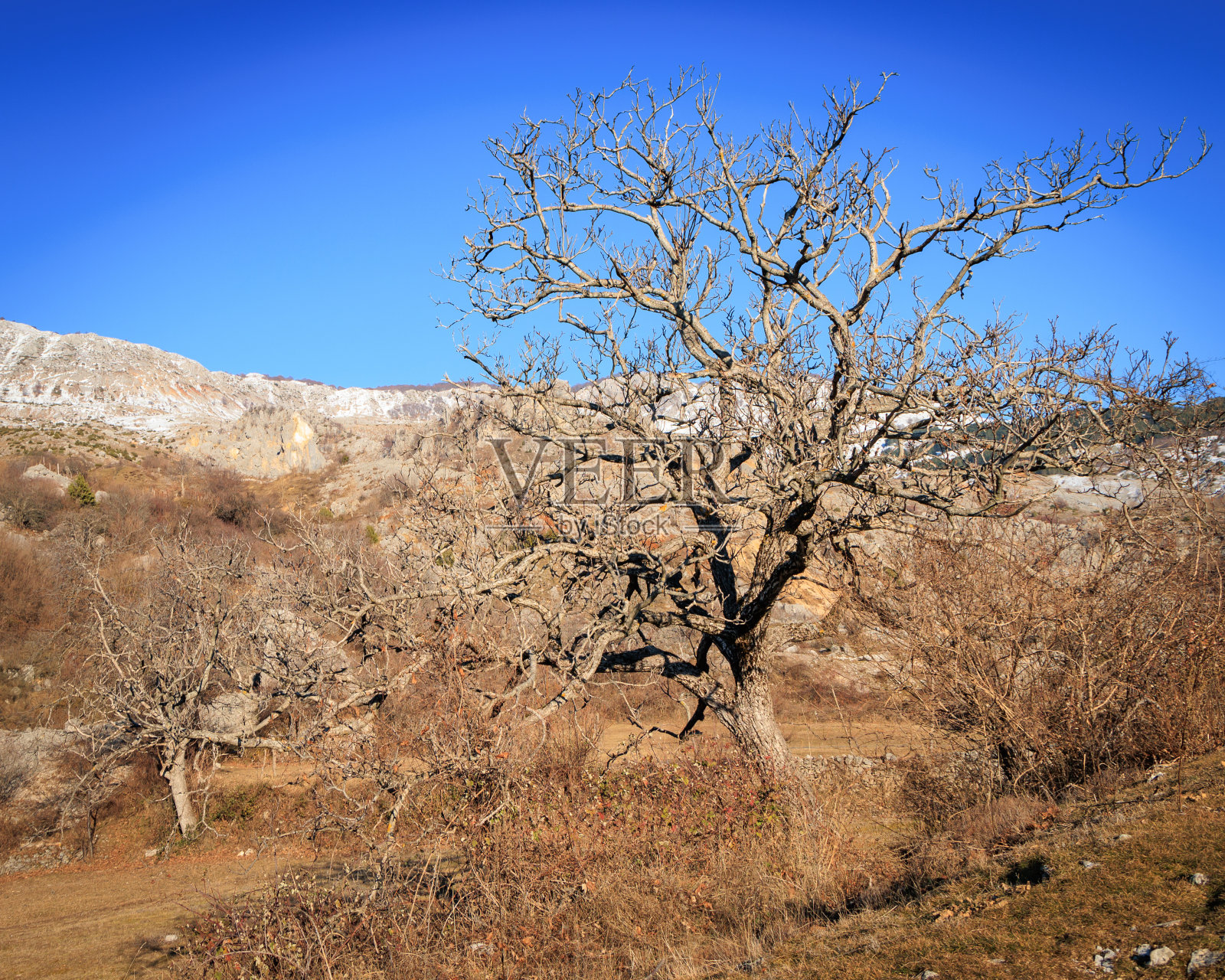 山中无叶无树,冬景艺术照片摄影图片