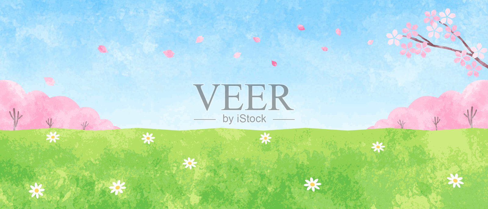 樱花和田野的背景插图插画图片素材