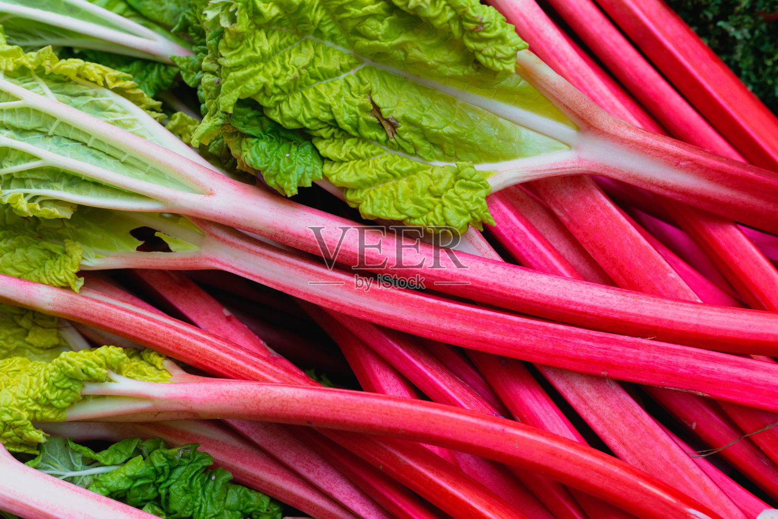 在食品市场出售的新鲜大黄照片摄影图片