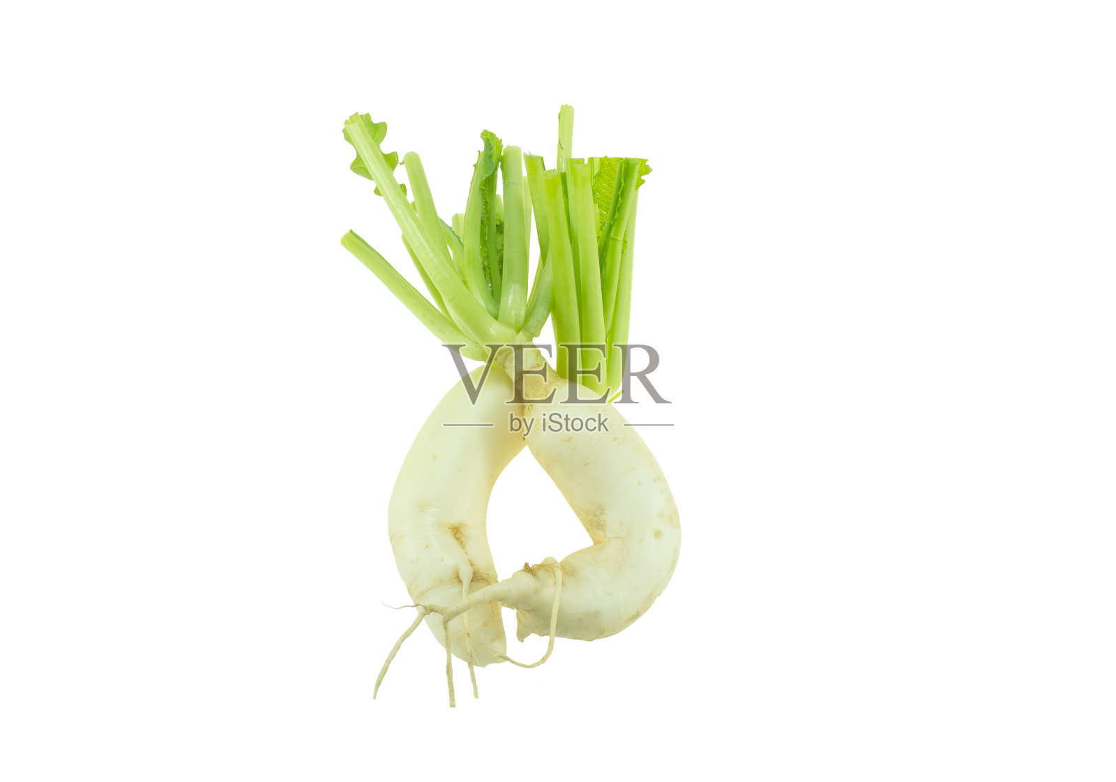 白色的萝卜照片摄影图片