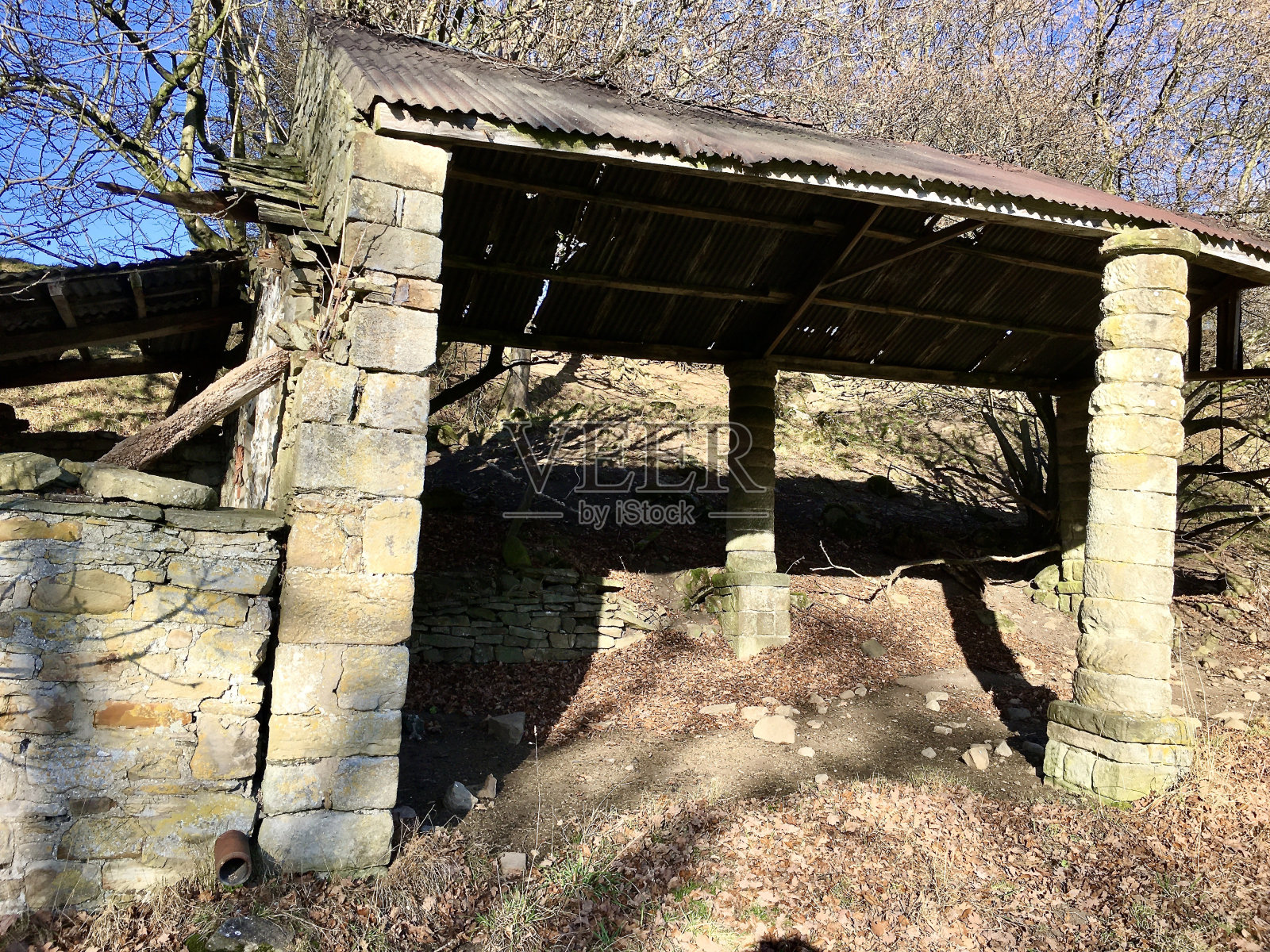 借来的东西?照片摄影图片