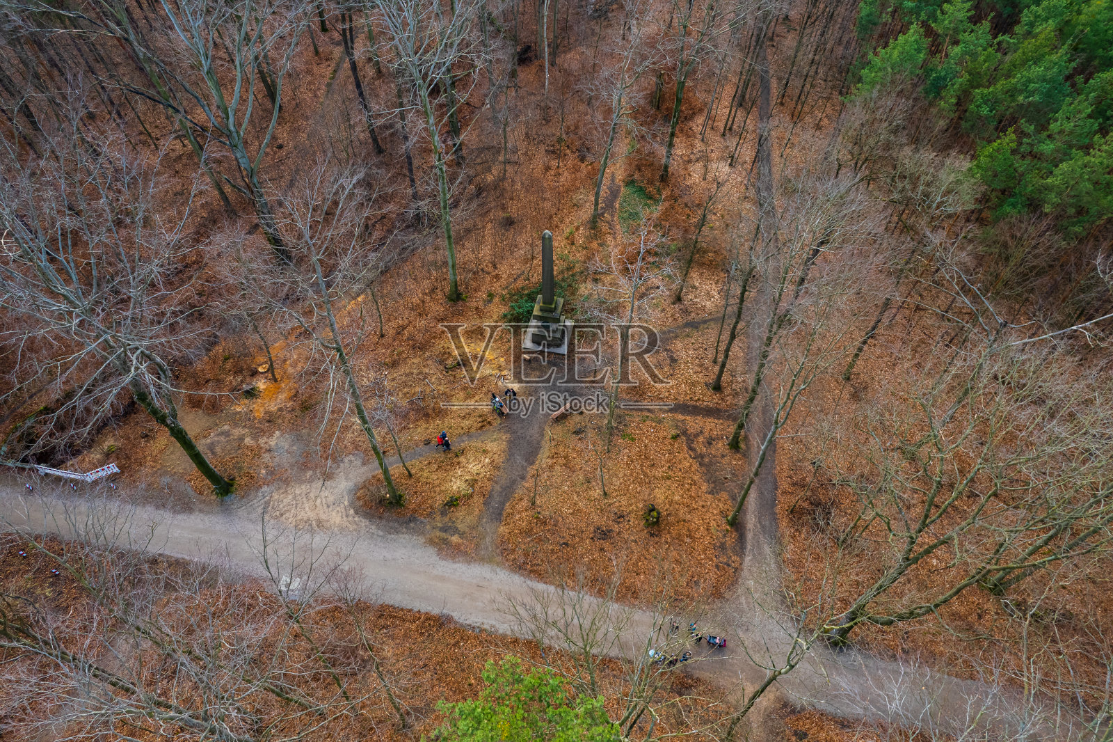 路在橘色的小秋林里照片摄影图片