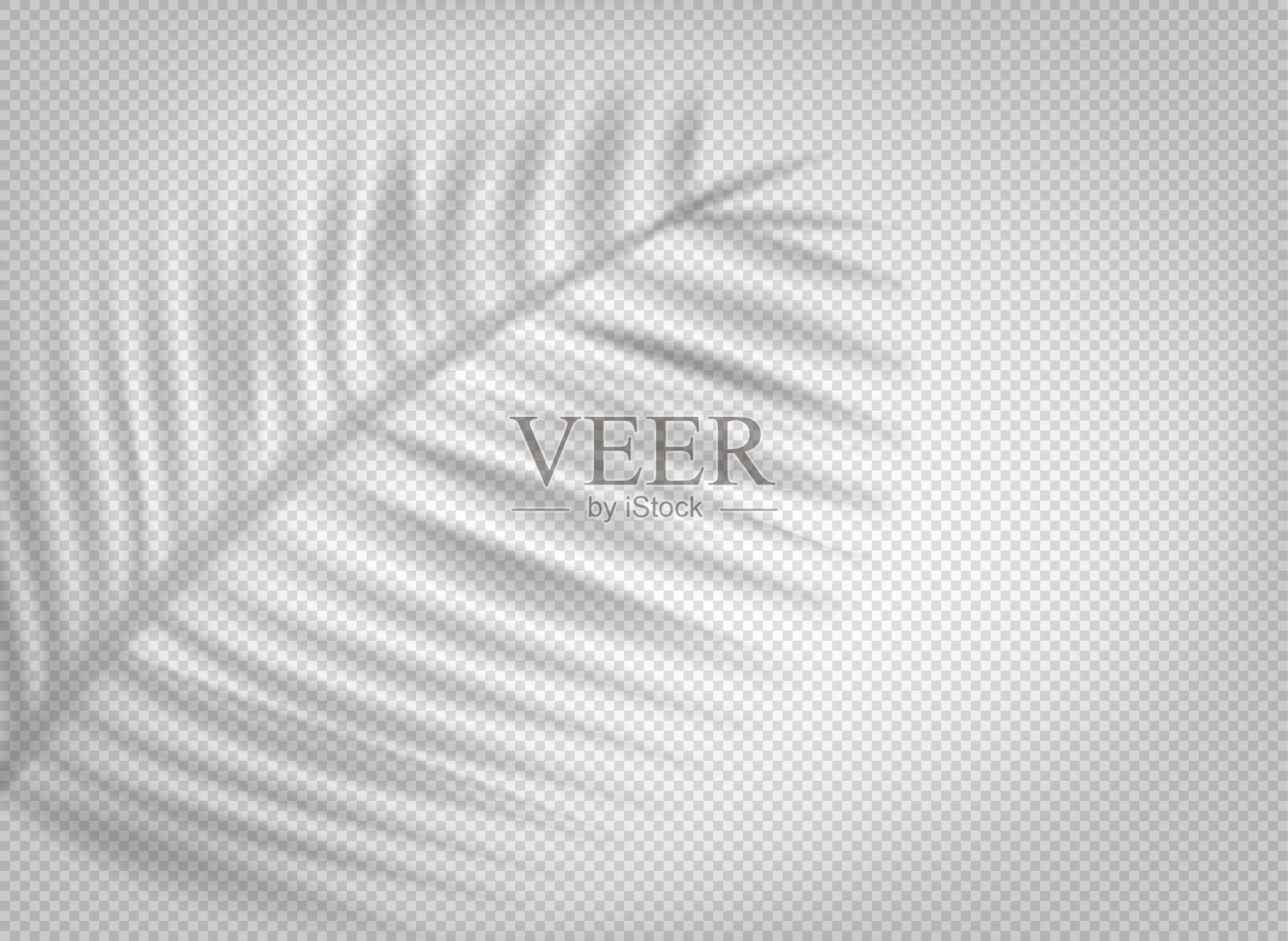 棕榈叶阴影叠加效果透明背景插画图片素材