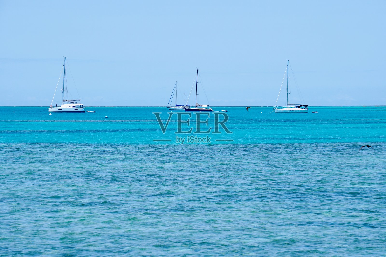 冰川和天蓝色珊瑚海水域,游艇,南大堡礁,昆士兰照片摄影图片