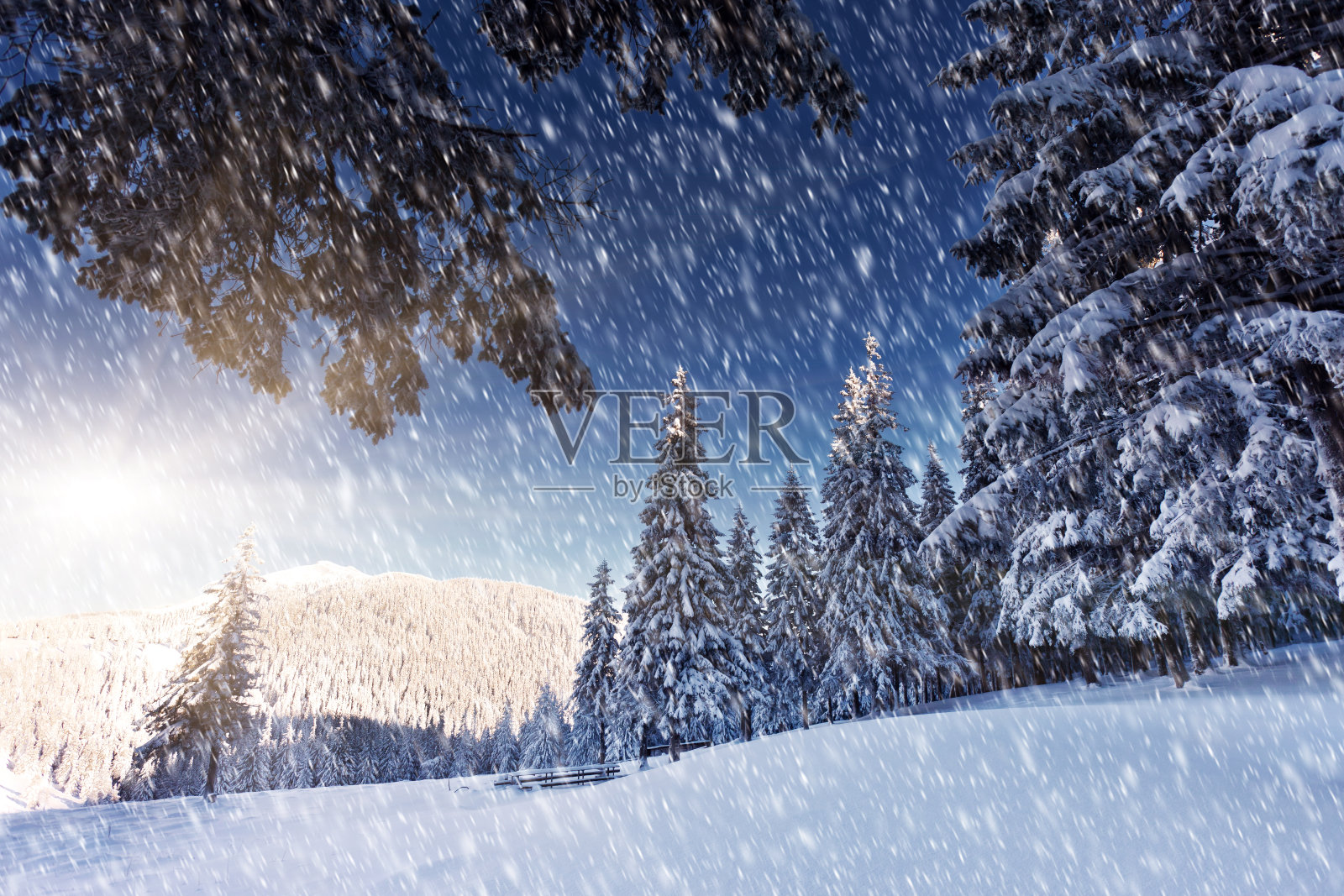 冬天照片摄影图片