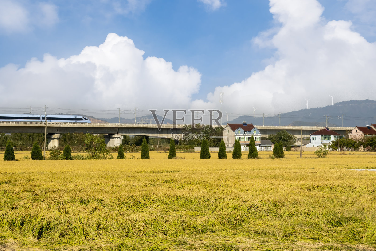 这条高速铁路穿过农田照片摄影图片