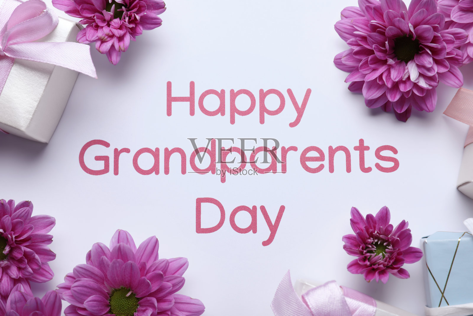 礼品盒,美丽的粉红色花和短语快乐祖父母日白色背景,平躺照片摄影图片
