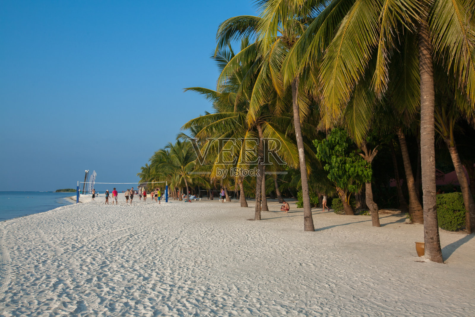 马尔代夫的海滩照片摄影图片