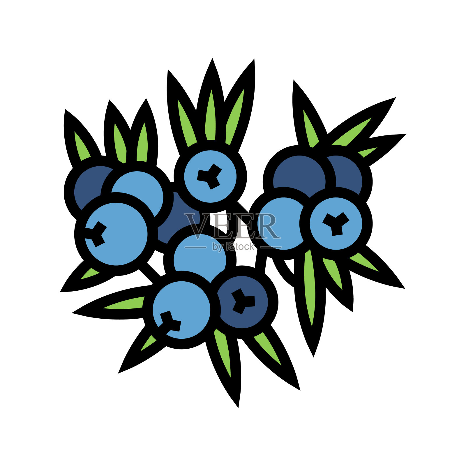 杜松浆果颜色图标矢量插图设计元素图片