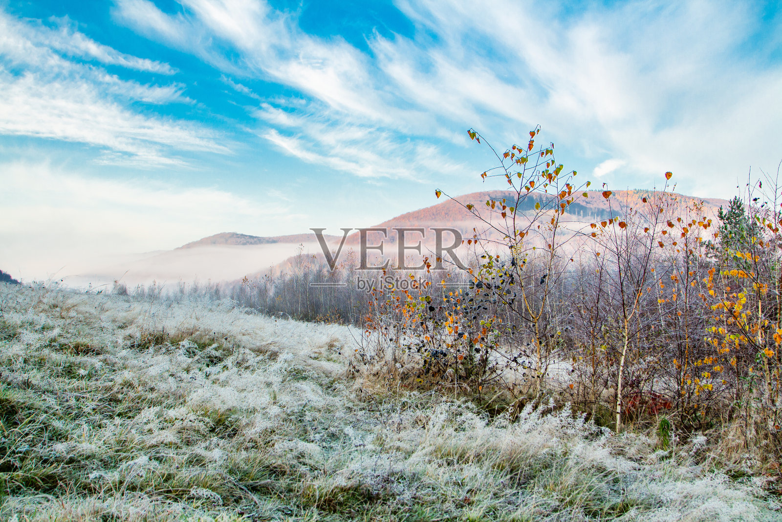 草被霜覆盖,树和山在雾中。冬天的季节。照片摄影图片