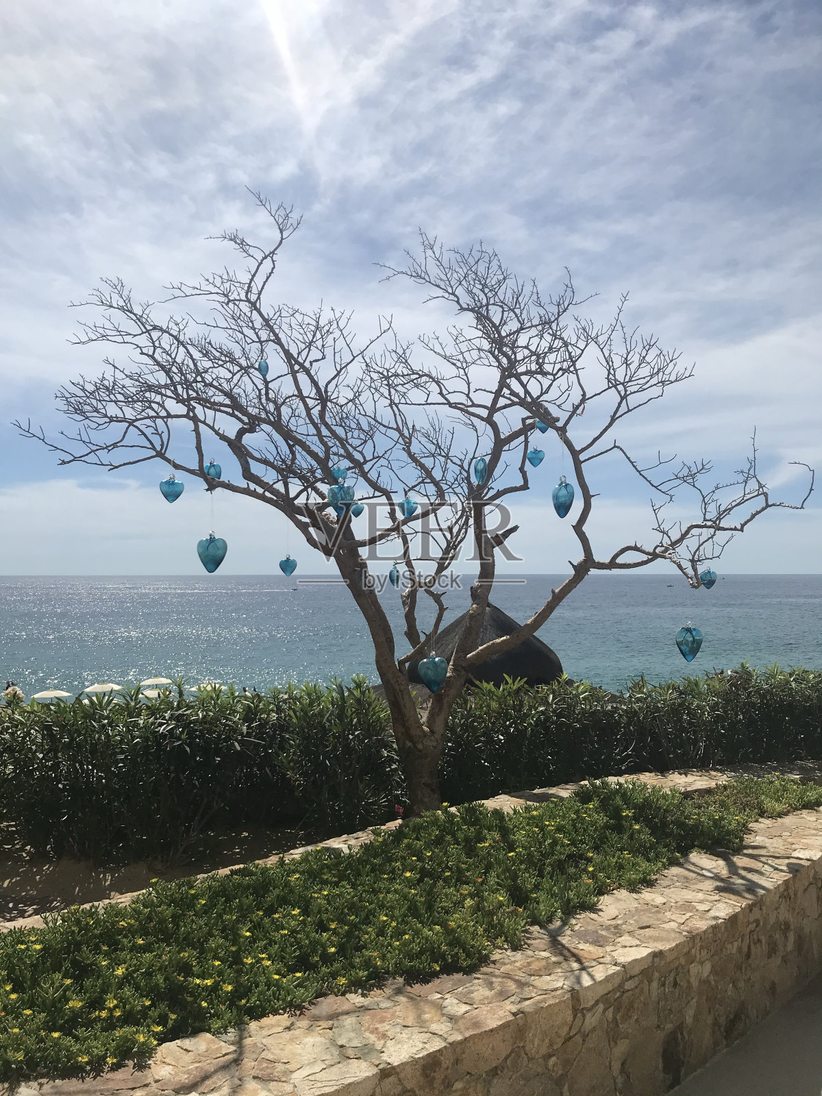 挂满玻璃心形饰品的树,背景是海洋照片摄影图片