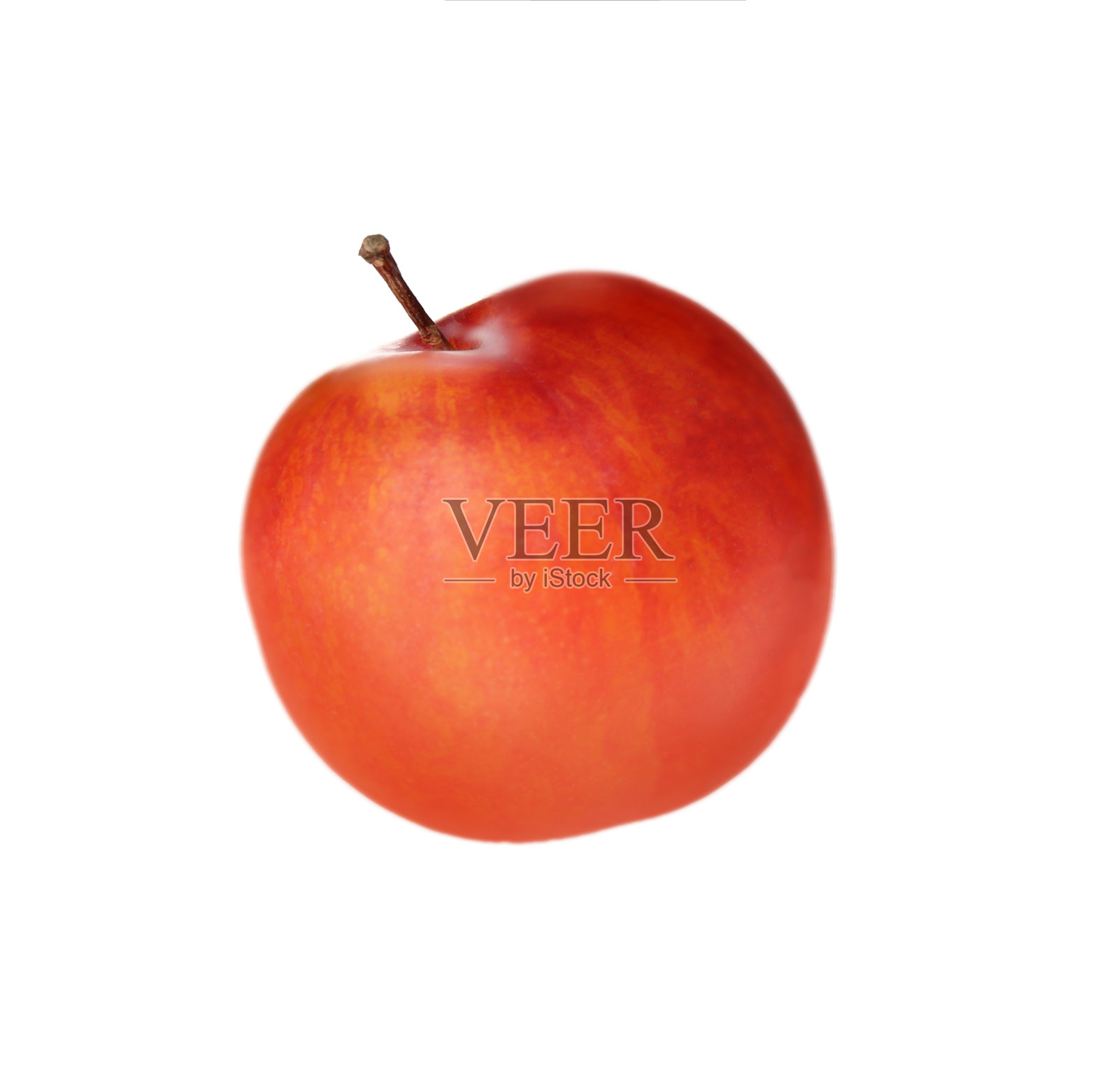 美味的新鲜成熟李子孤立在白色照片摄影图片