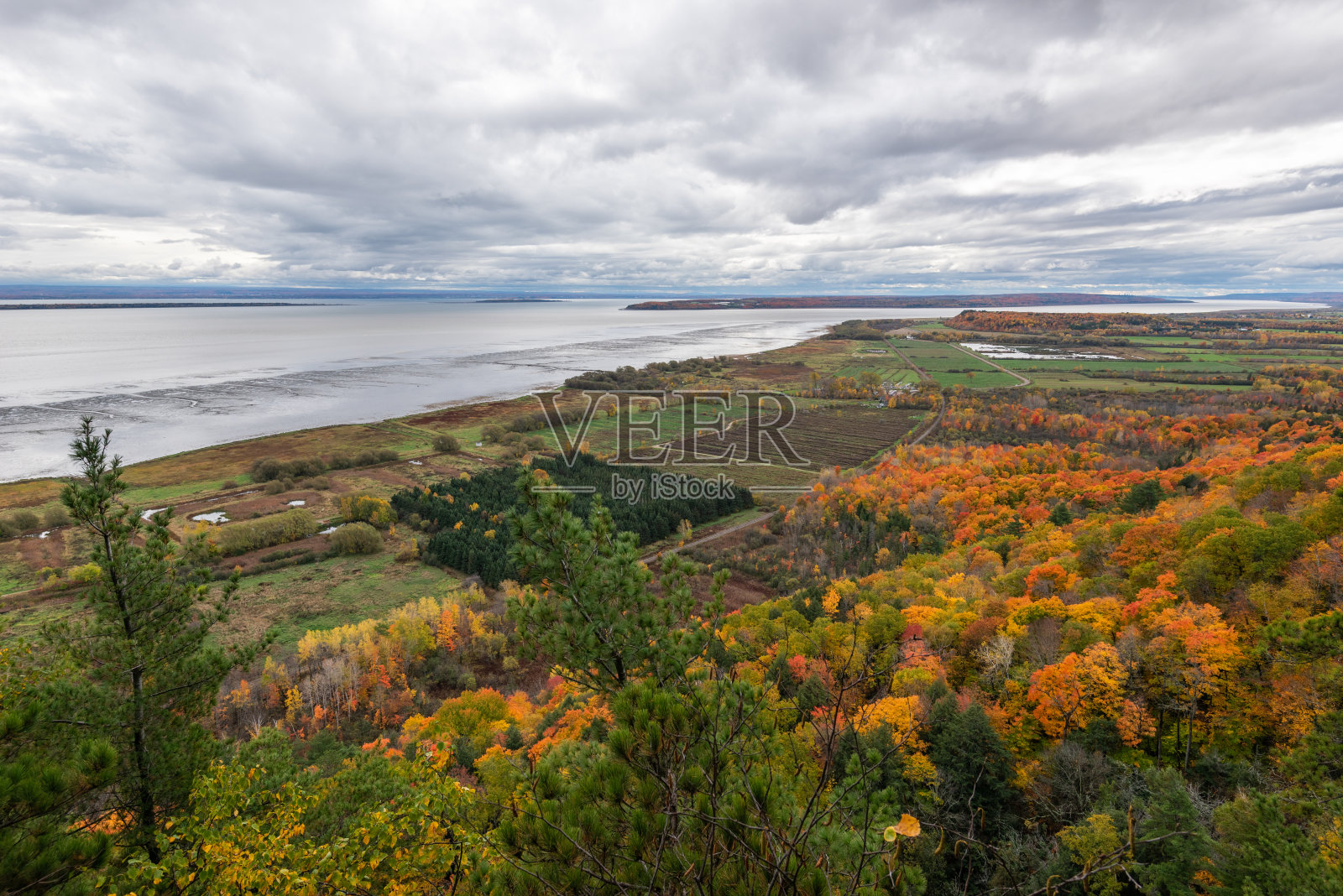 Cap Tourmente国家野生动物保护区照片摄影图片