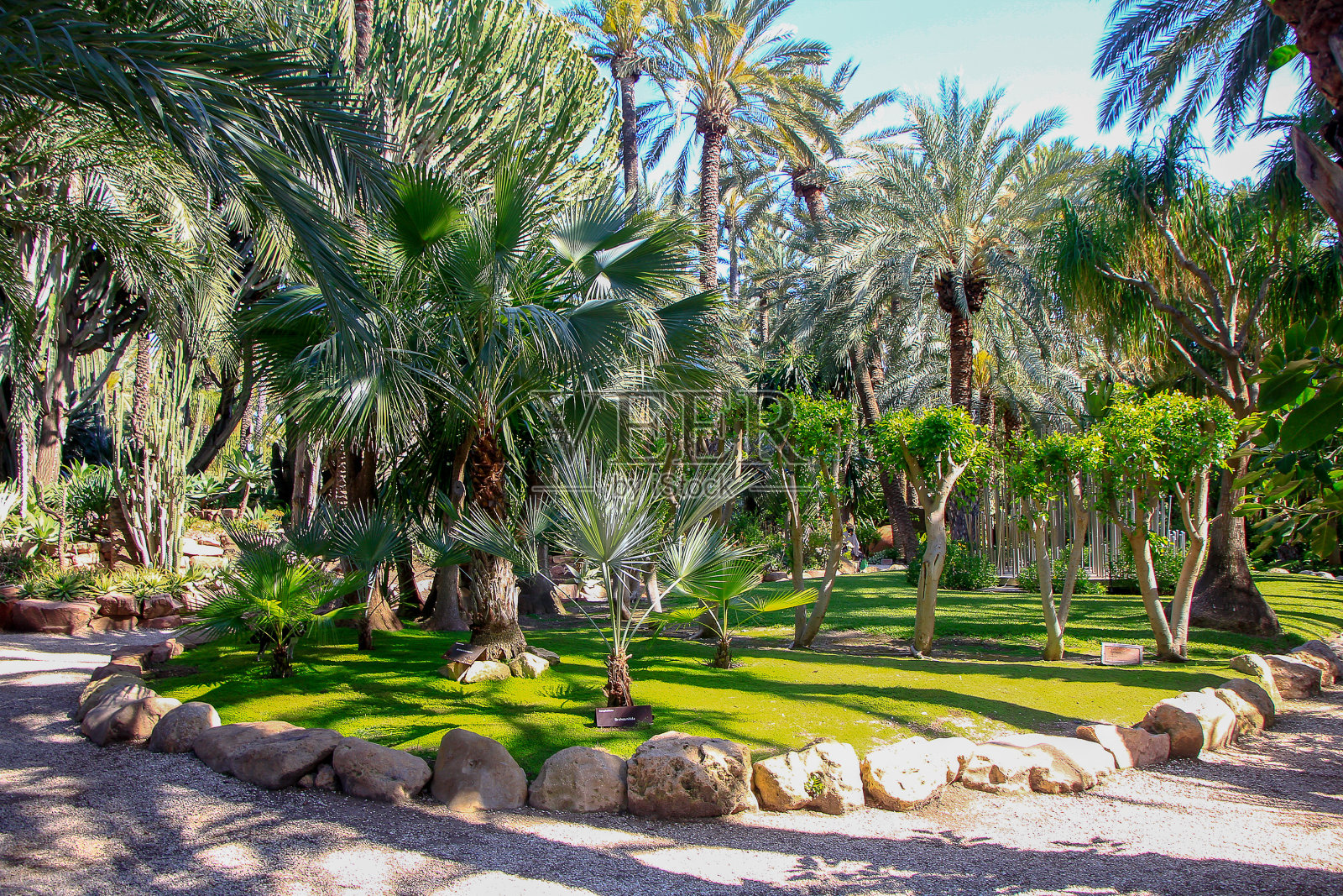 满是树的公园里的小路照片摄影图片