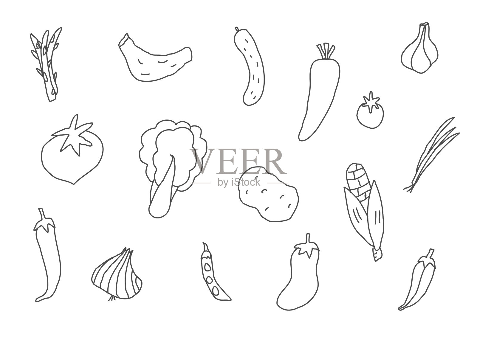 一套手绘的蔬菜插图插画图片素材