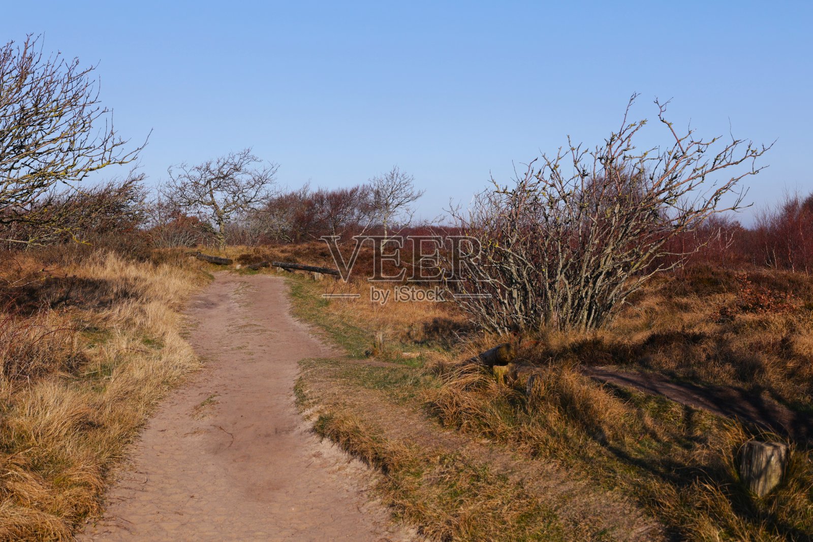 杜南在库克斯黑文的印象照片摄影图片