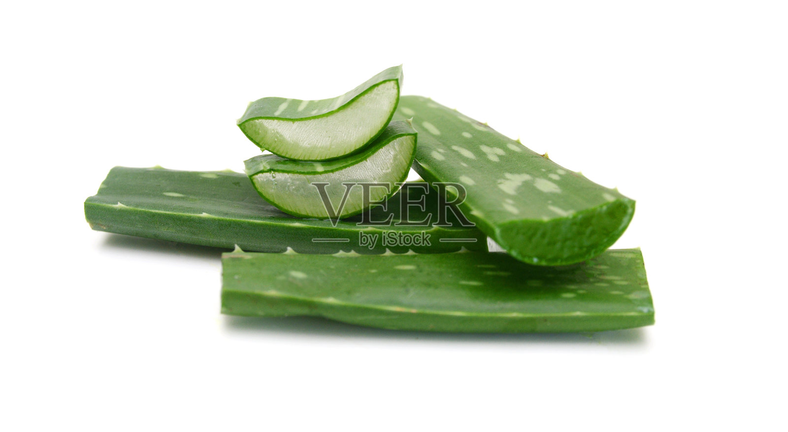 白色背景上的一棵陈年芦荟树照片摄影图片