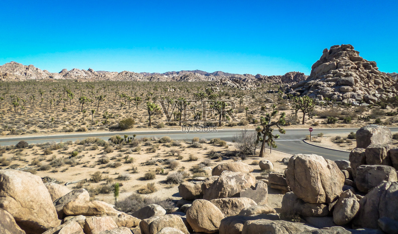 约书亚树国家公园路2号照片摄影图片