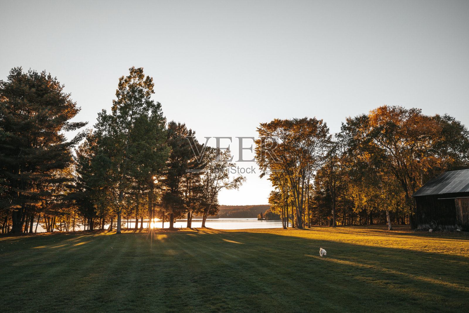 美丽的夏日日落在加拿大的一个湖边照片摄影图片