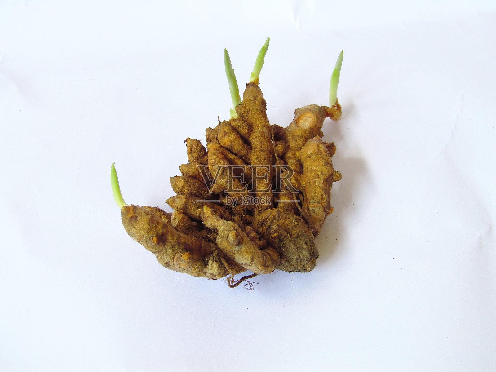 姜黄在白色的背景照片摄影图片