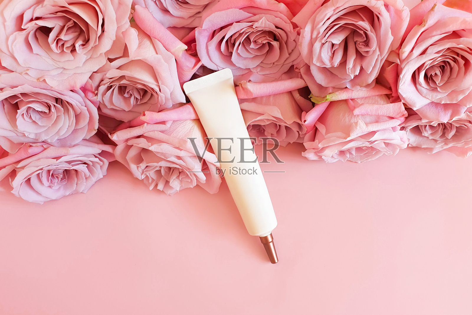 白色象牙挤压化妆管长喷嘴和青铜螺旋帽和粉红色的玫瑰背景。品牌化用的瓶子,乳霜,凝胶,护肤品,保湿霜,模型。俯视图,平躺。照片摄影图片