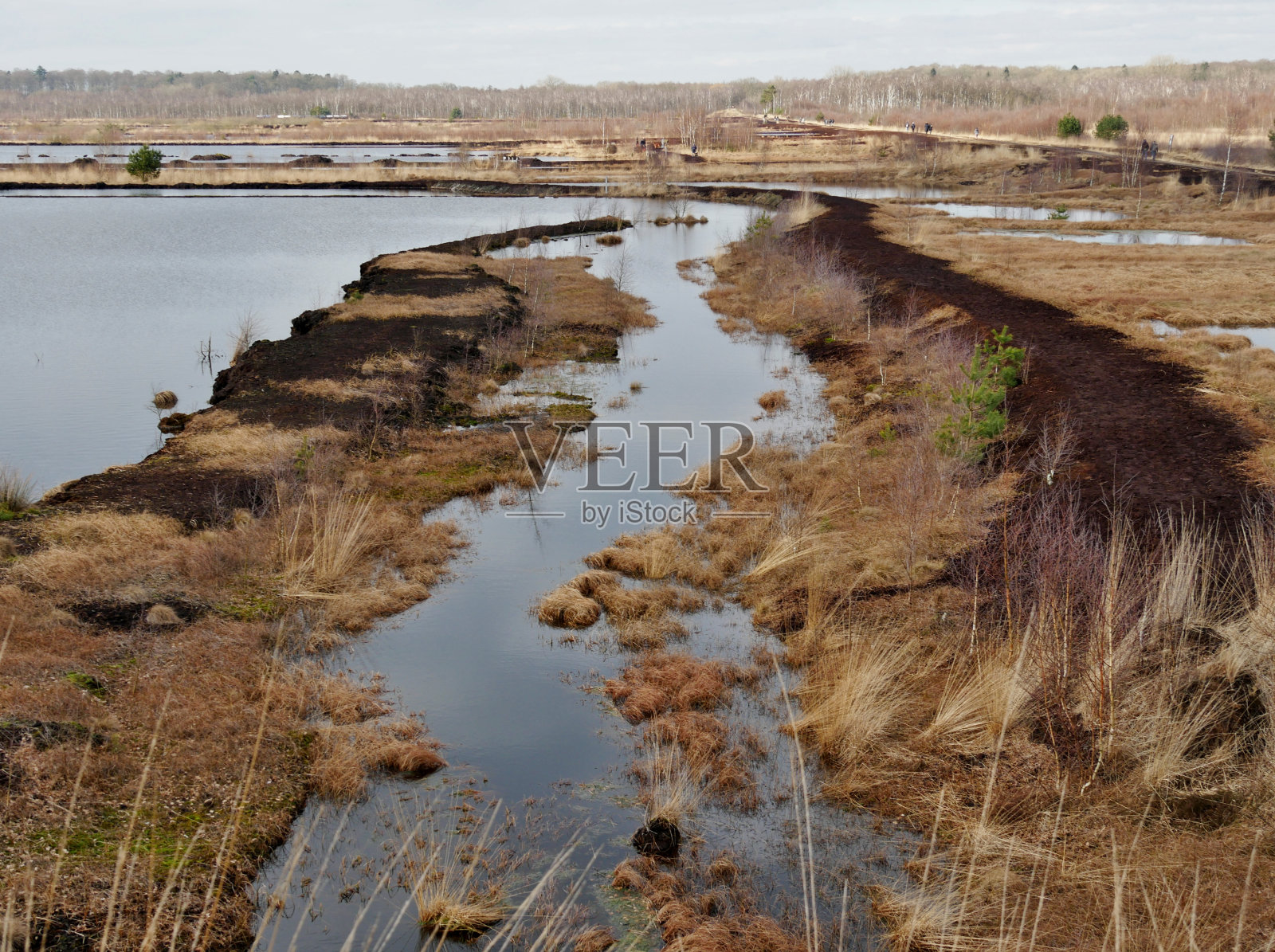 Quickborn附近的Himmelmoor景观照片摄影图片