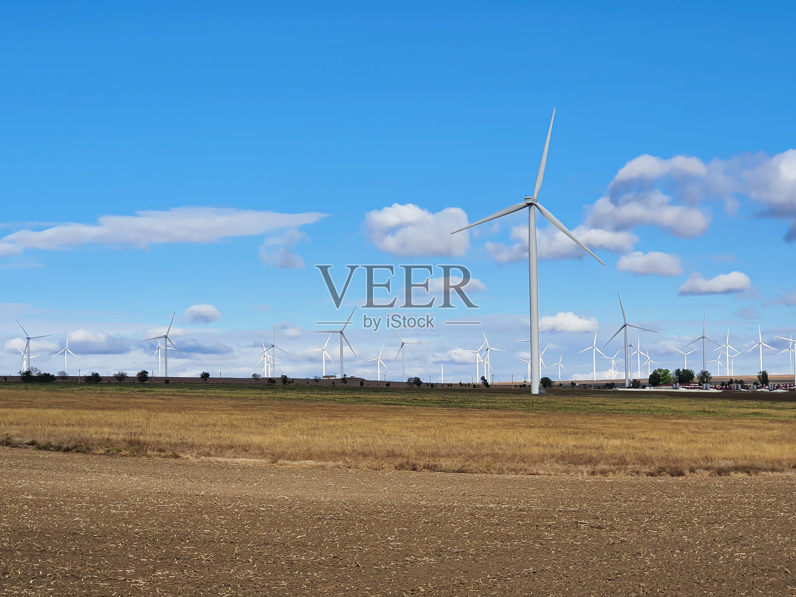 风力涡轮机的农场照片摄影图片