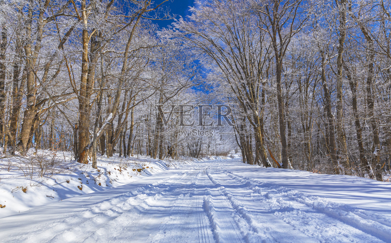 积雪覆盖的道路穿过森林照片摄影图片